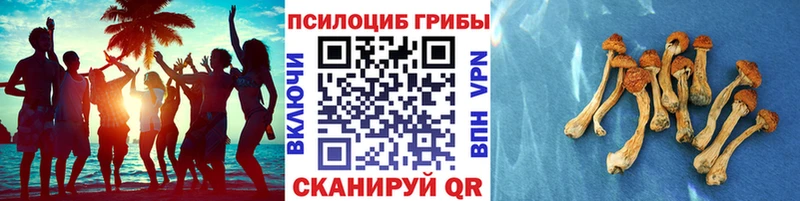сайты даркнета наркотические препараты  Миллерово  Галлюциногенные грибы Cubensis 