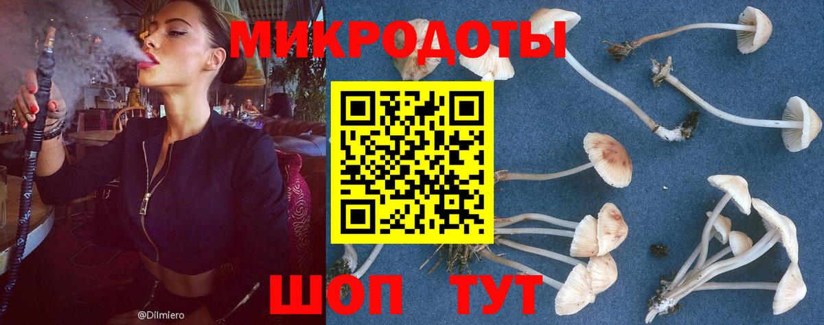 Псилоцибиновые грибы Psilocybe  Вход с VPN  Миллерово  Галлюциногенные грибы Cubensis 